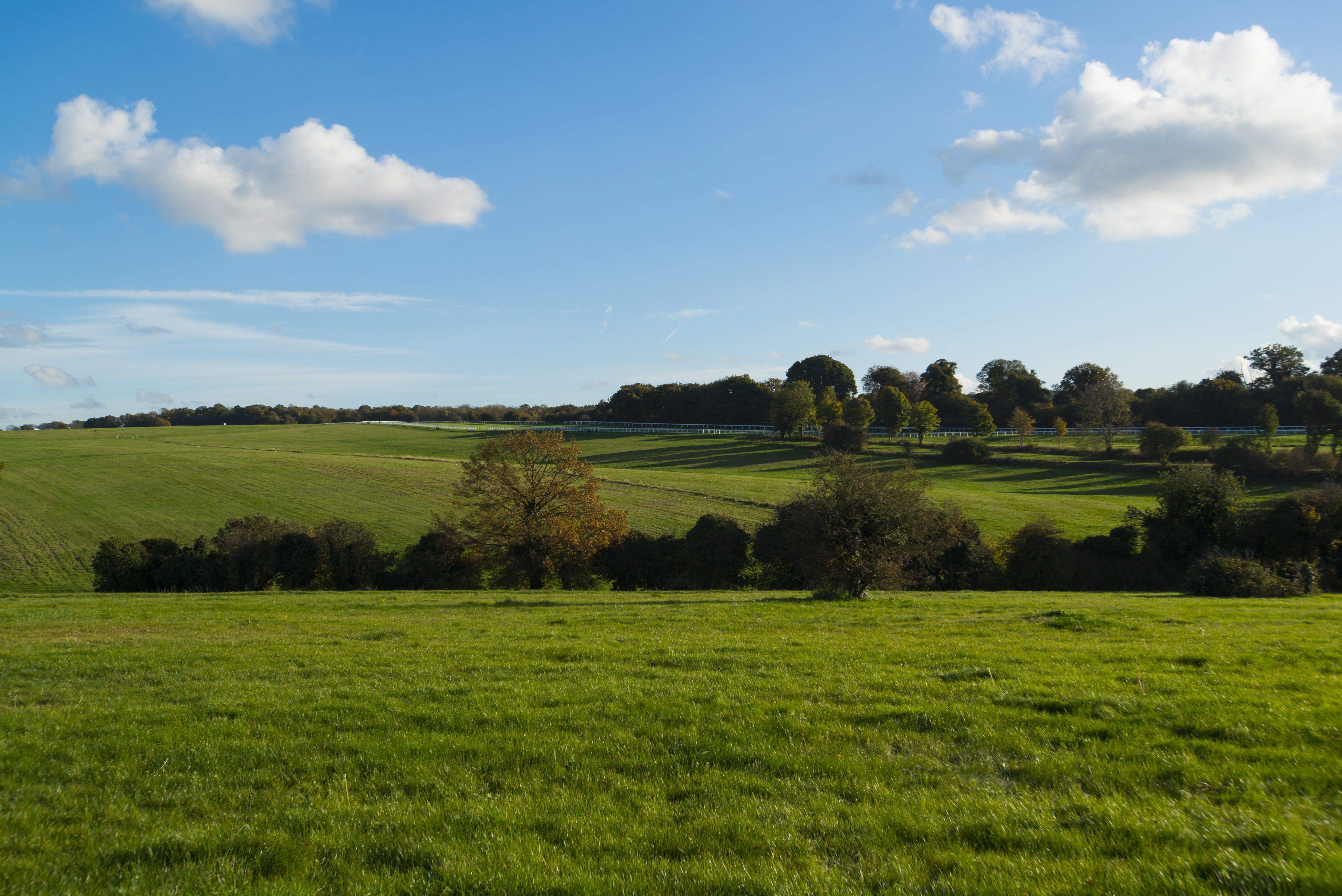 Holiday Inn Express London - Epsom Downs By Ihg Exterior photo